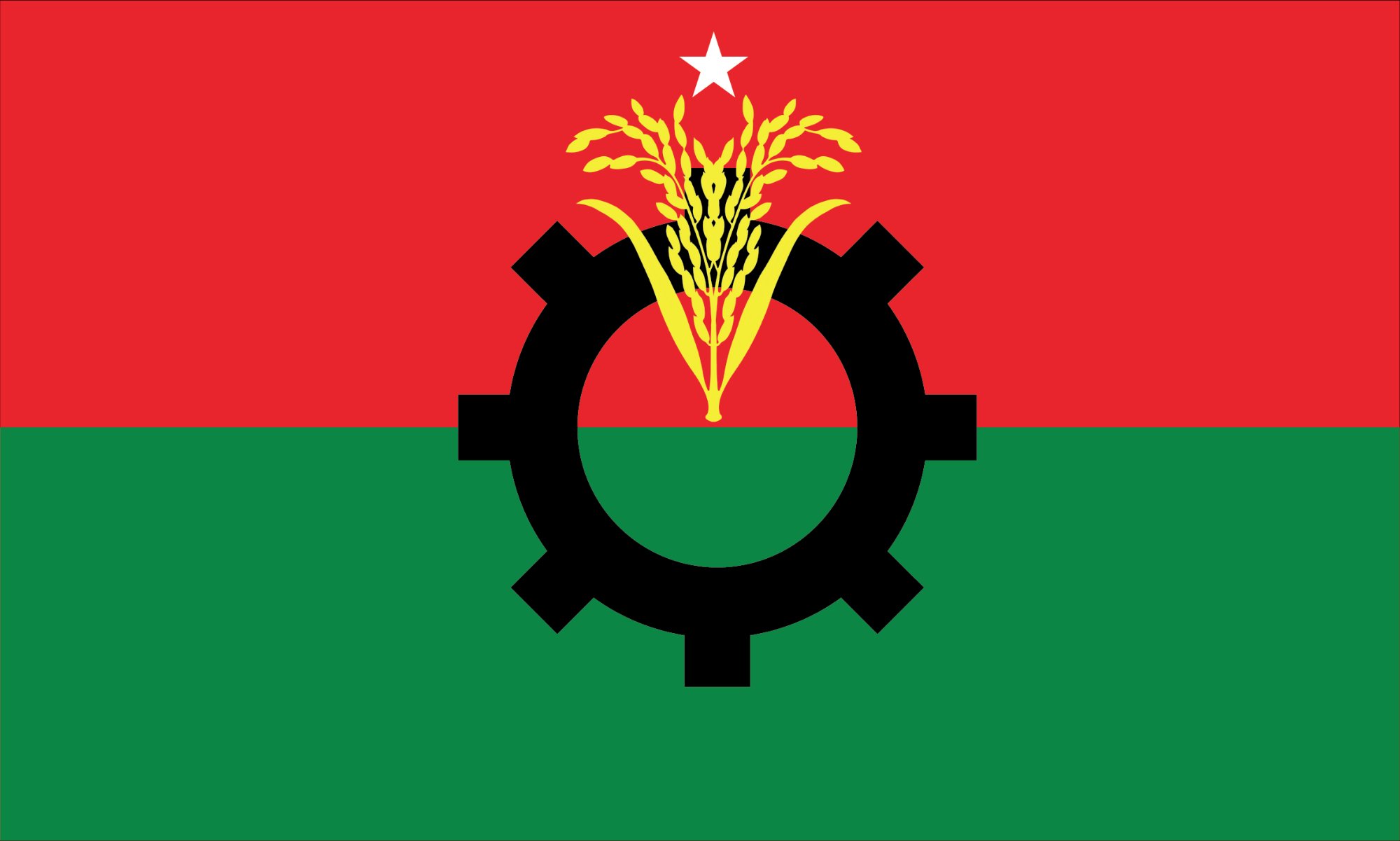 BNP Flag